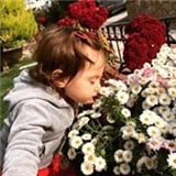 Ayşe Gülsün Özgür