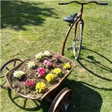 Aprilspring
