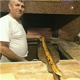 usta1058
