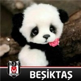 Gül Demir