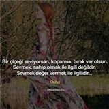 TC Gulen Hanoglu