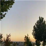 Gülsena