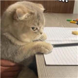 test1