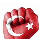 Gulsah Kurtoğlu Turan