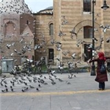 Sümeyye Paksu Taş
