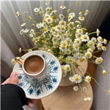 gulsum_1611