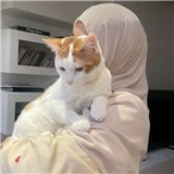 cerenmelek