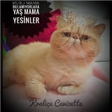 melisunler