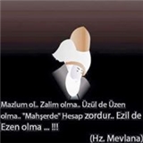 Celaleddin Alboğa