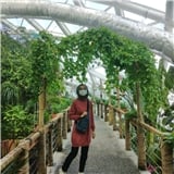 zeraw