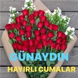 Ayşe Akar