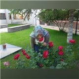 Tuğba KÜLEKÇİ
