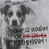 Erem Demirhan