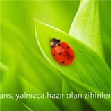 Özge Gülen