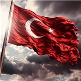 Betül Ballı