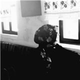 mlkoz