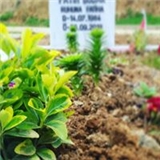 Sacidegül Yiğit