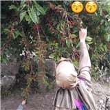 hemsirenin_gunlukblogu