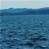 Erbay20