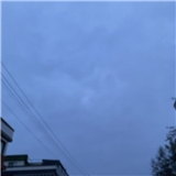 Ece Yapıcı