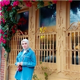 vildan ergin